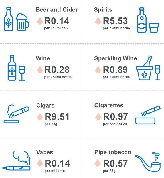 2024 Budget Speech NFB Insights   Budget Sin Tax 202413fd317071d945319050273427671cee 